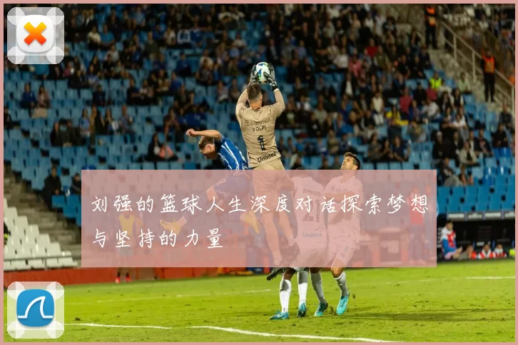 刘强的篮球人生深度对话探索梦想与坚持的力量