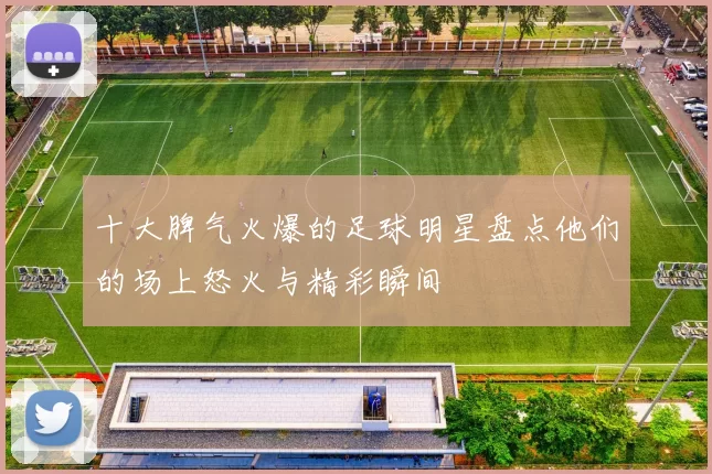 十大脾气火爆的足球明星盘点他们的场上怒火与精彩瞬间