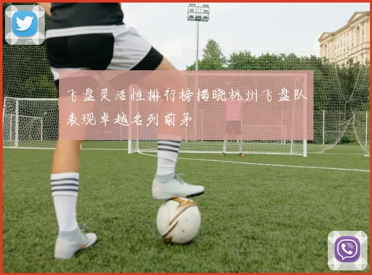 飞盘灵活性排行榜揭晓杭州飞盘队表现卓越名列前茅