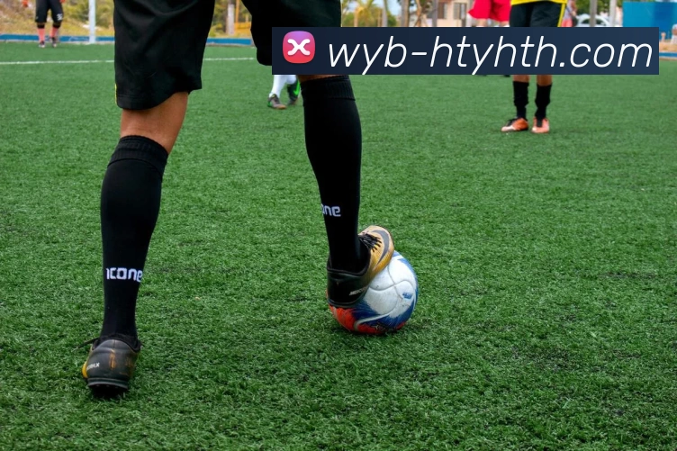 华体会APP 封面图